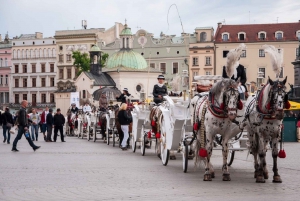 Cracovia: tour de día completo en privado desde Varsovia