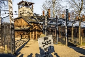 Krakow: Full-Day Auschwitz-Birkenau Tour with Transportation