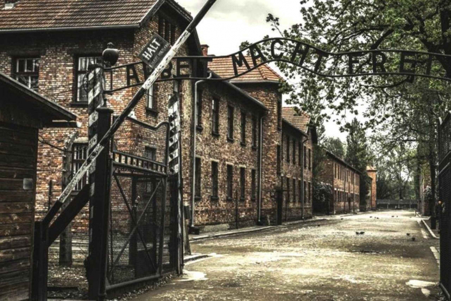 Krakow: Group Auschwitz and Salt Mine Tour