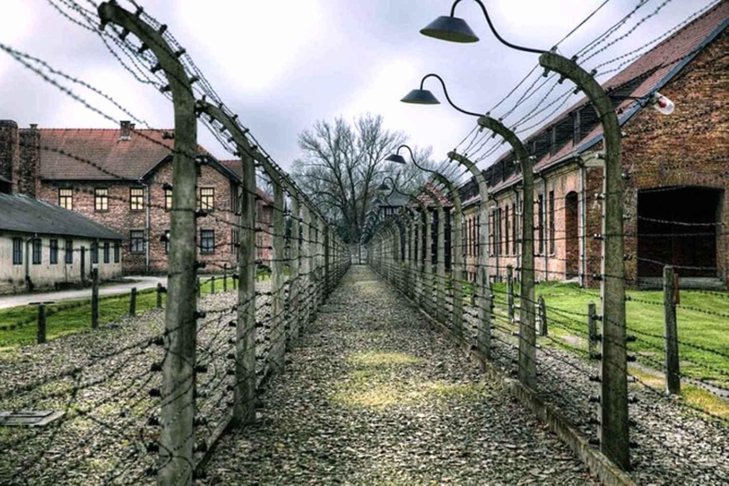Cracovie : Visite guidée d'Auschwitz-Birkenau - Transfert en minivan