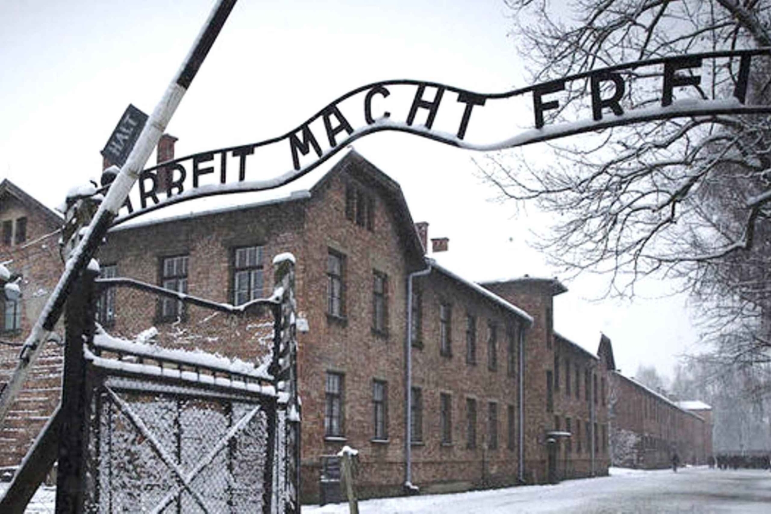 Cracovie : Visite guidée d'Auschwitz-Birkenau - Transfert en minivan