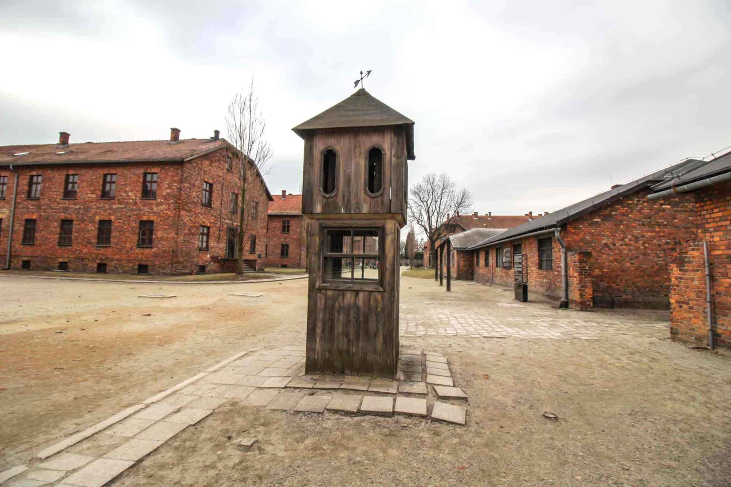 Cracovie : Visite guidée d'Auschwitz-Birkenau - Transfert en minivan