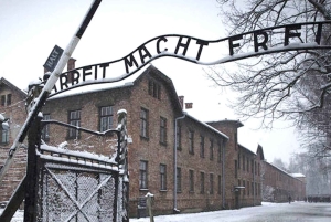 Cracovie : Visite guidée d'Auschwitz-Birkenau - Transfert en minivan