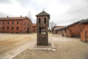 Cracovie : Visite guidée d'Auschwitz-Birkenau - Transfert en minivan