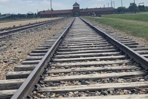 Cracovie : Visite guidée d'Auschwitz-Birkenau - Transfert en minivan