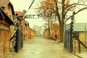Cracovie : Visite guidée d'Auschwitz-Birkenau - Transfert en minivan