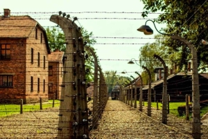 Cracovie : Visite guidée d'Auschwitz-Birkenau - Transfert en minivan