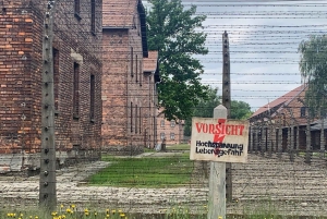Cracovie : Visite guidée d'Auschwitz-Birkenau - Transfert en minivan