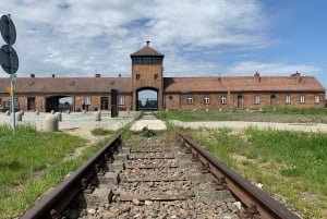 Cracovie : Visite guidée d'Auschwitz-Birkenau - Transfert en minivan