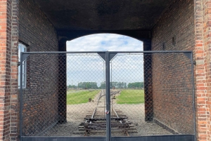 Cracovie : Visite guidée d'Auschwitz-Birkenau - Transfert en minivan