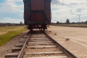 Cracovie : Visite guidée d'Auschwitz-Birkenau - Transfert en minivan