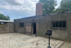 Cracovie : Visite guidée d'Auschwitz-Birkenau - Transfert en minivan