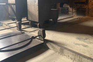 Cracovie : Visite guidée d'Auschwitz-Birkenau - Transfert en minivan