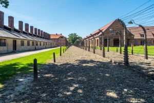 Kraków: Wycieczka z przewodnikiem po Auschwitz Birkenau