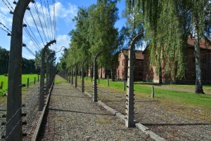 Kraków: Wycieczka z przewodnikiem po Auschwitz Birkenau
