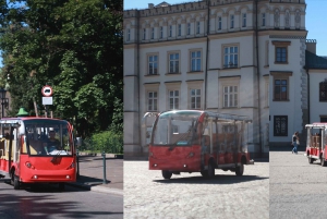 Krakau: Sightseeingtour durch die Stadt mit einem gemeinsamen oder privaten Golfwagen