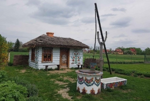 Cracóvia: excursão guiada de um dia à vila Zalipie e entrada no museu