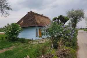 Kraków: Wycieczka z przewodnikiem po Zalipiu i wstęp do muzeum