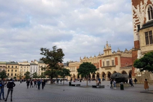 Krakow: Guided Private Walking Tour