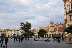 Krakow: Guided Private Walking Tour