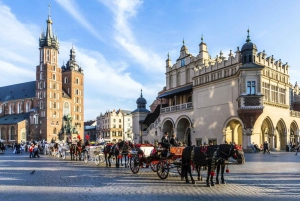 Cracovie : Visite guidée de la colline du Wawel et de la basilique Sainte-Marie