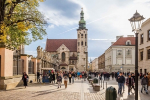 Krakow: Guided Wine Tasting Experience
