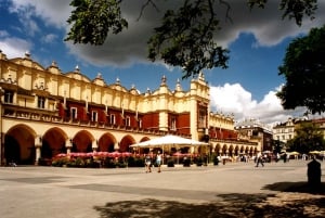 Krakow: Half-Day Private Sightseeing Guided Tour