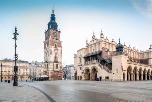 Krakow: Half-Day Private Sightseeing Guided Tour