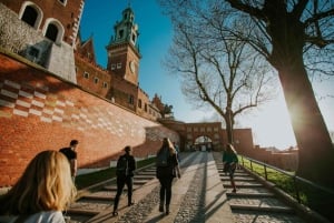 Les points forts de Cracovie : Visite à pied de la vieille ville et du château de Wawel