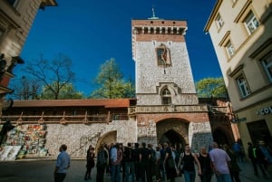 Les points forts de Cracovie : Visite à pied de la vieille ville et du château de Wawel