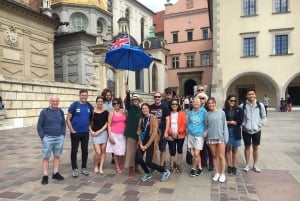 Les points forts de Cracovie : Visite à pied de la vieille ville et du château de Wawel