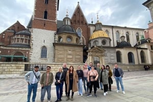 Les points forts de Cracovie : Visite à pied de la vieille ville et du château de Wawel