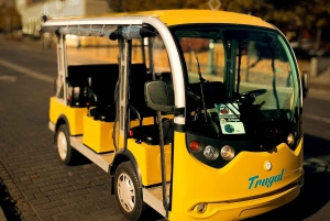 Krakow Highlights - Private Sightseeing Car Tour