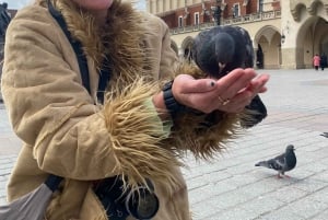Kraków in a pill: culture, custom, cuisine - walking tour