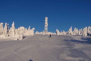 Krakow: Kubínska Hoľa Ski Resort Day Trip with Voucher