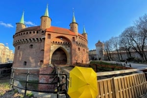 Kraków: Old Town & Wawel Castle Walking Tour