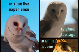 Krakow: Medieval&Witcher Inspired Tour to Tokarnia&Other