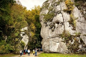 Cracóvia: Parque Nacional de Ojców e Tour Particular de Ogrodzieniec