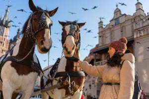 Krakow Old Town and Czartoryski Palace Museum Private Guided