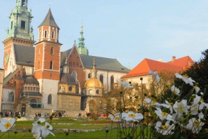 Krakow Old Town and Jewish Quarter in one guided walk