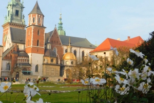 Krakow Old Town and Jewish Quarter in one guided walk