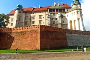 Krakow: Old Town and Jewish Quarter Walking Tour in Dutch