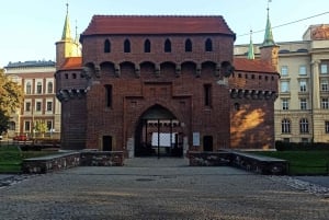 Krakow: Old Town and Jewish Quarter Walking Tour in Dutch