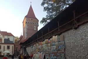 Krakau: wandeltour door de oude stad en de Joodse wijk in het Nederlands