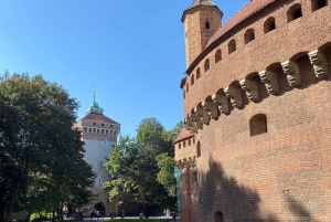 Cracovia: Tour guidato della Città Vecchia e di Kazimierz