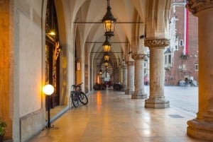 Visita guidata privata al centro storico di Cracovia e al Museo Nazionale