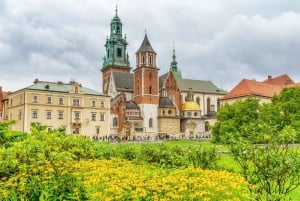 Visita guidata privata al centro storico di Cracovia e al Museo Nazionale