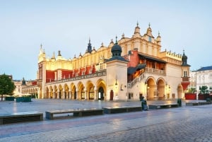 Visita guidata privata al centro storico di Cracovia e al Museo Nazionale