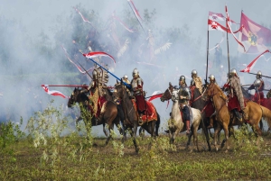 Visita guidata privata al centro storico di Cracovia e al Museo Nazionale