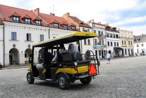 Krakow: Old Town Golf Cart Tour and Vistula Cruise